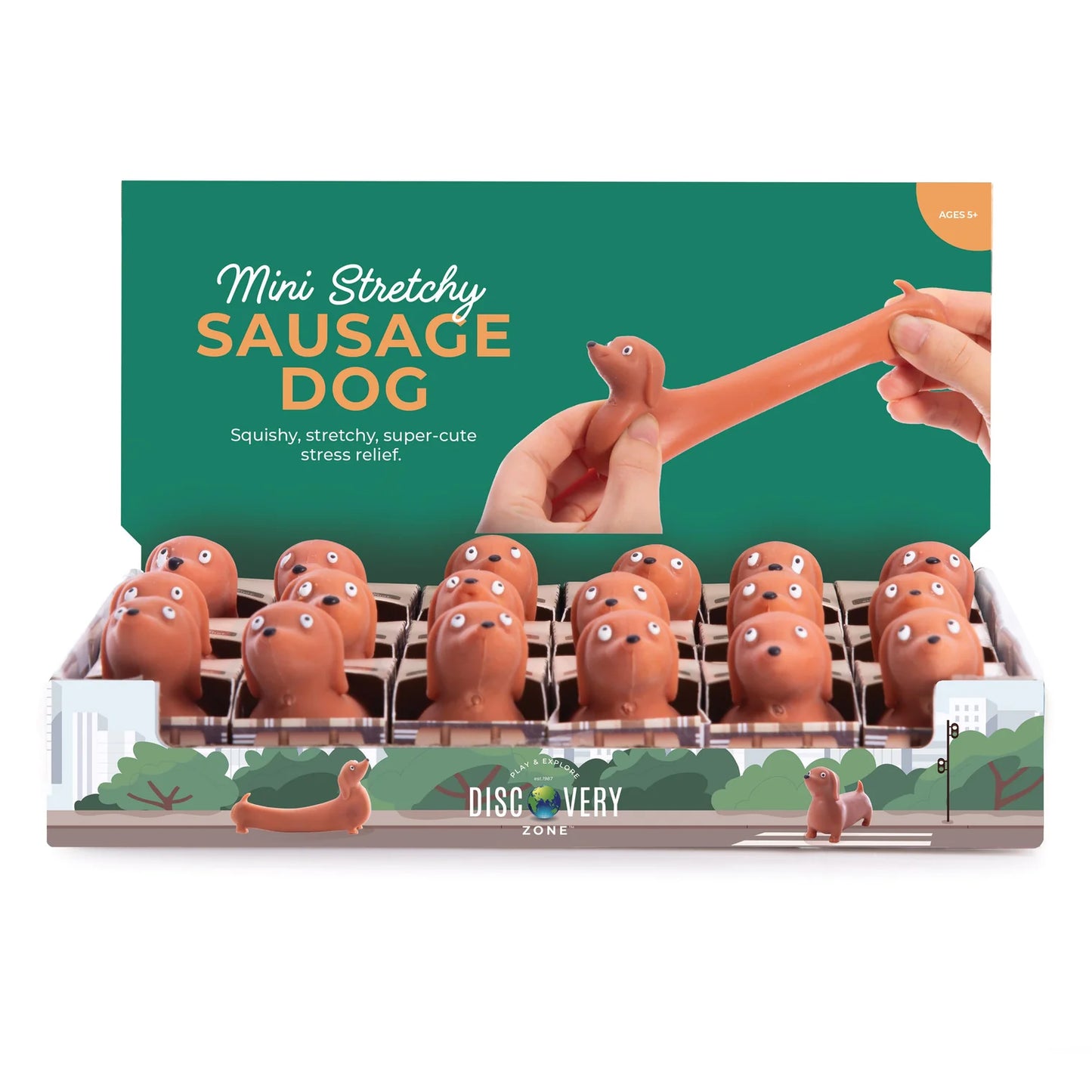 Stretchy Sausage Dog