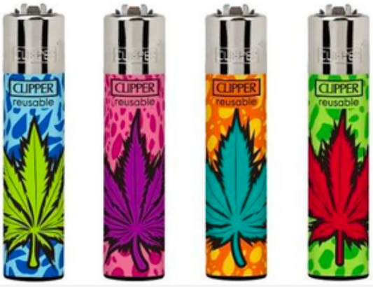 Clipper Colored Leaves