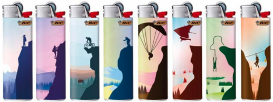 BIC Experience
