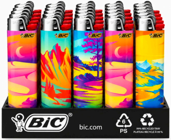 BIC Landscape