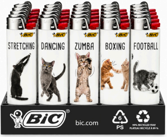 BIC Landscape